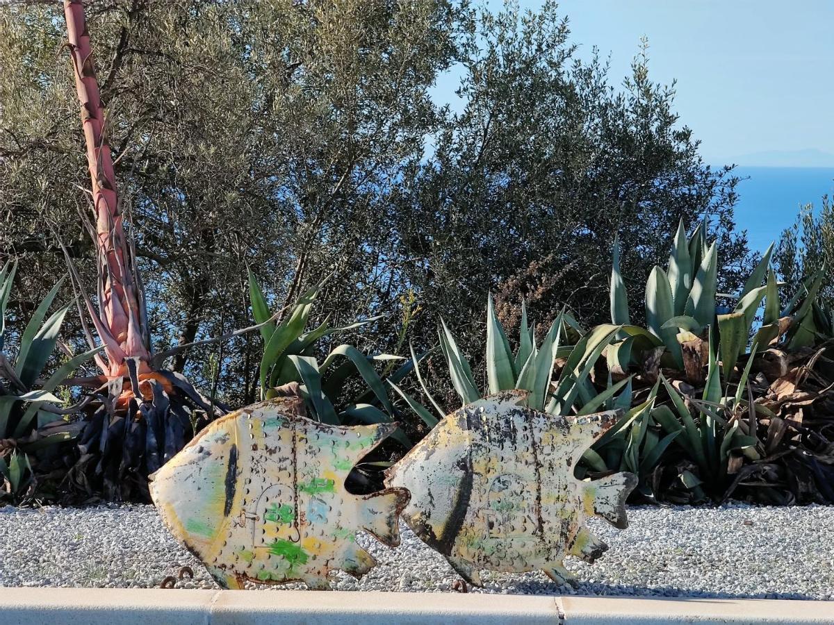Campo Agave B&B Sayalonga Bagian luar foto