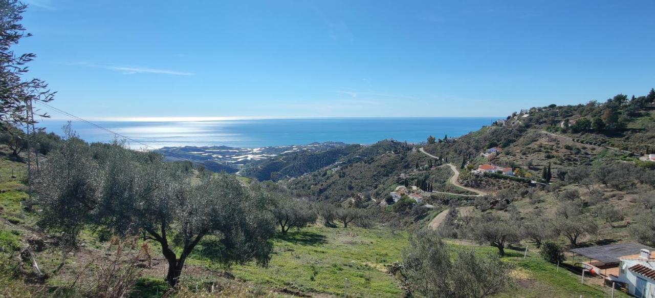 Campo Agave B&B Sayalonga Bagian luar foto