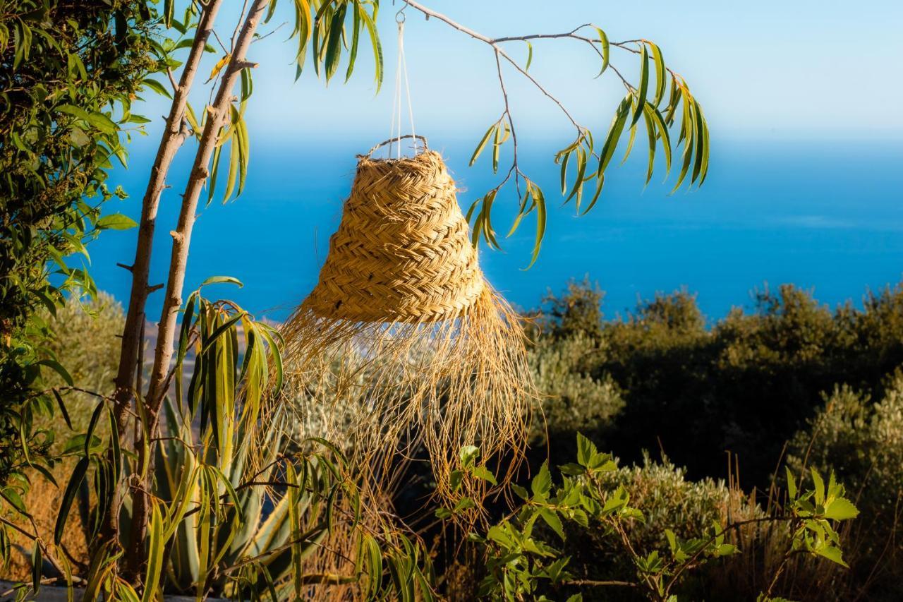 Campo Agave B&B Sayalonga Bagian luar foto