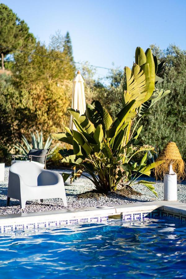 Campo Agave B&B Sayalonga Bagian luar foto