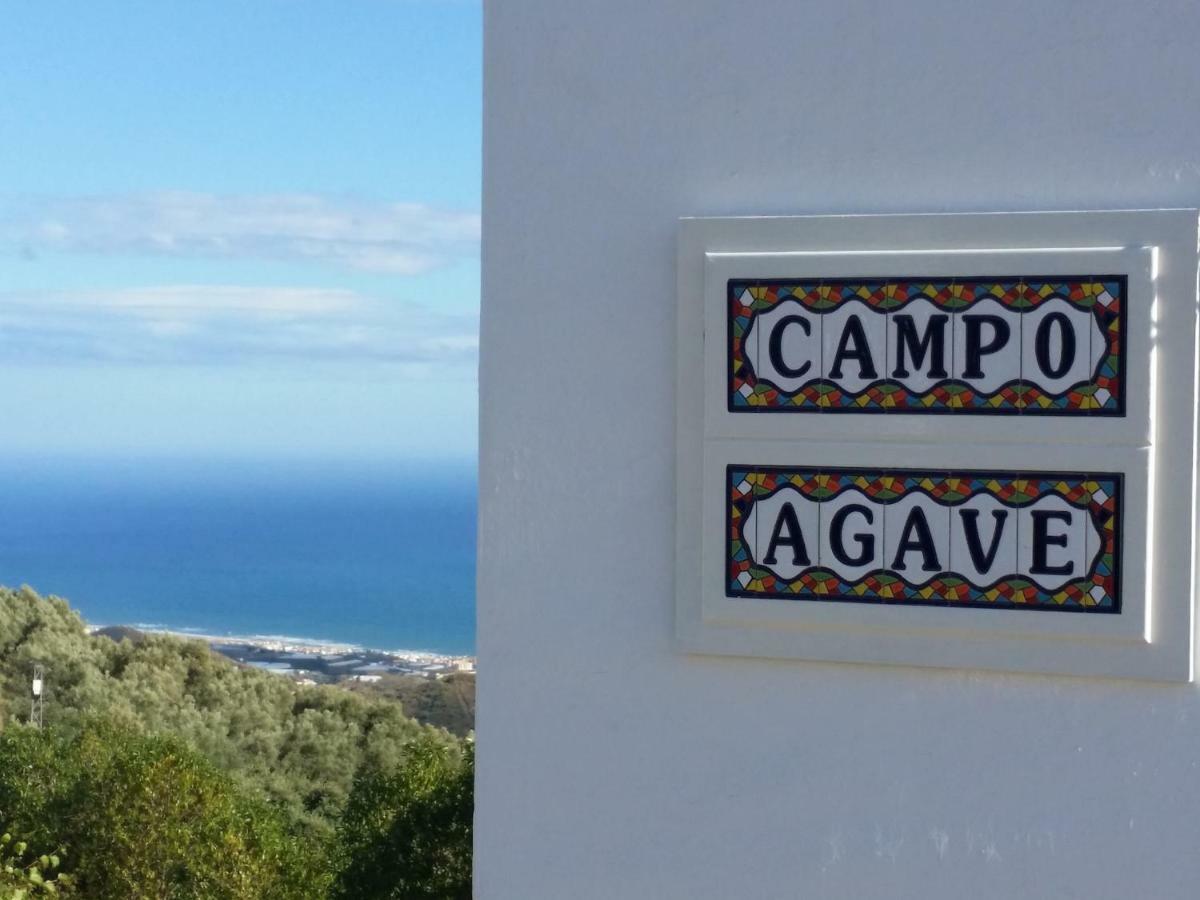Campo Agave B&B Sayalonga Bagian luar foto